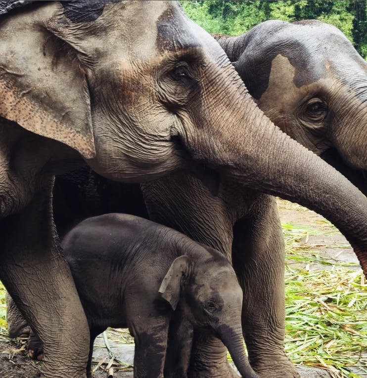 Doi Inthanon National Park